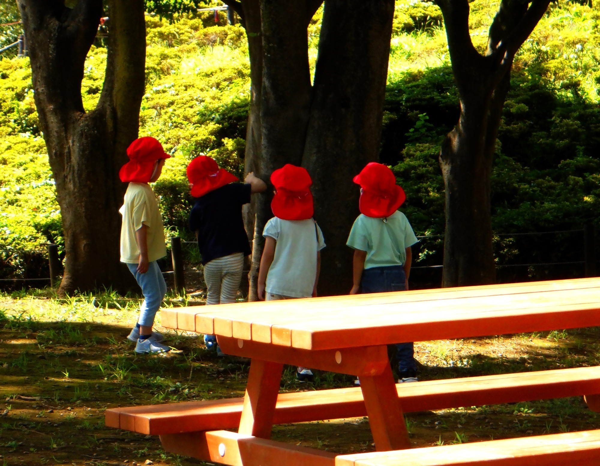 子どもたちの探求心を育みます