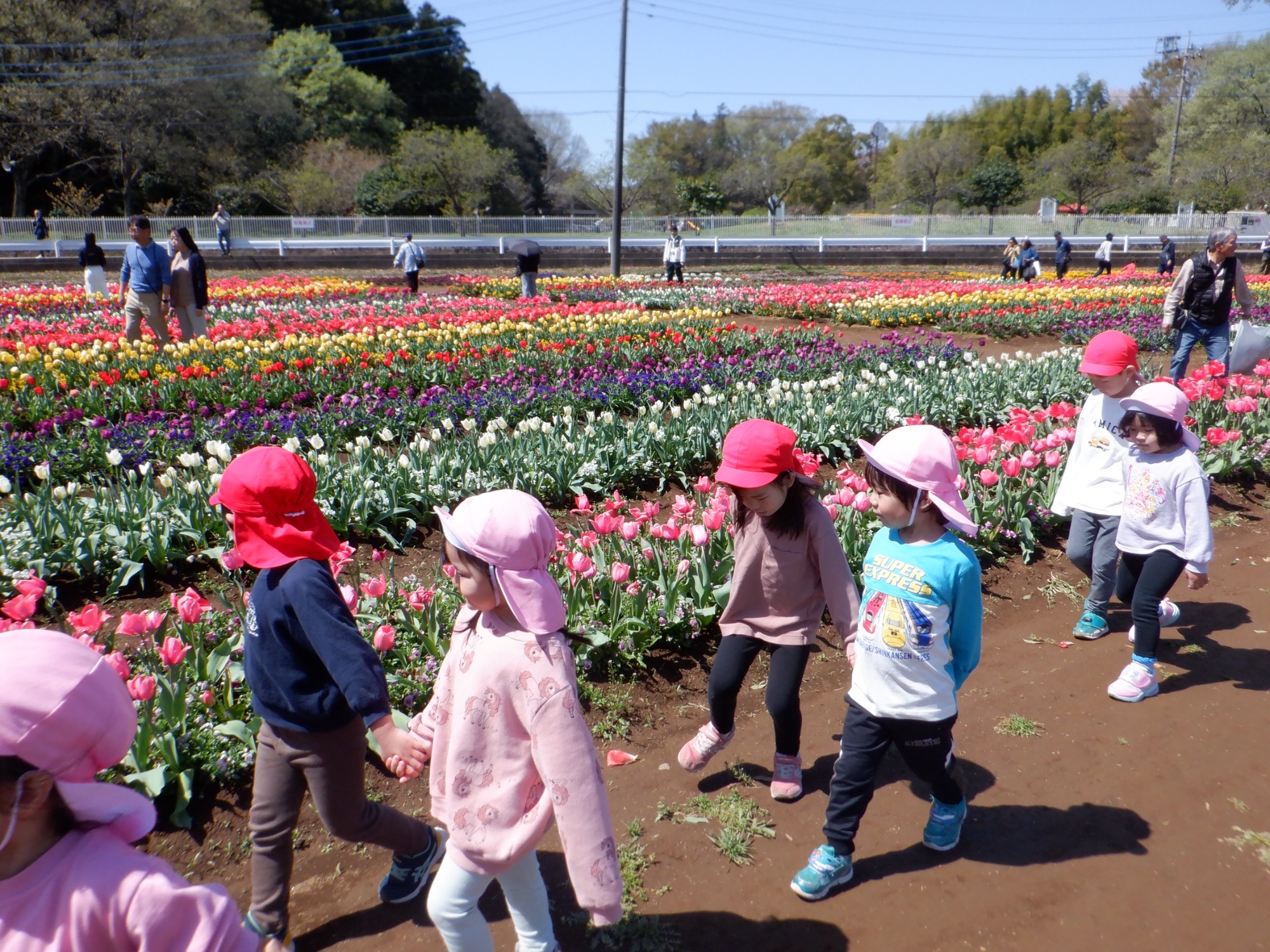 子どもの日